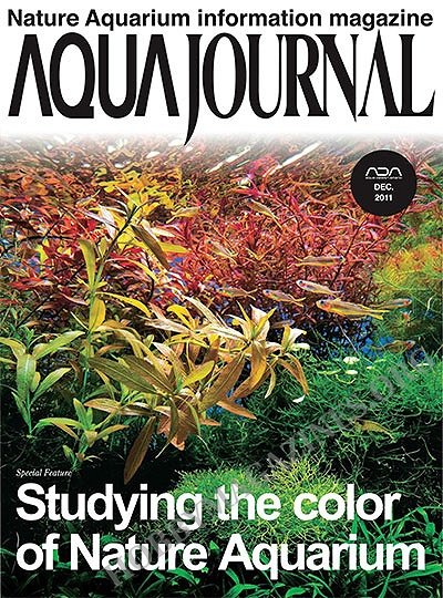 Aqua Journal - December 2011