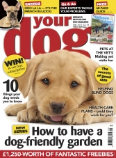 Your Dog - May 2015