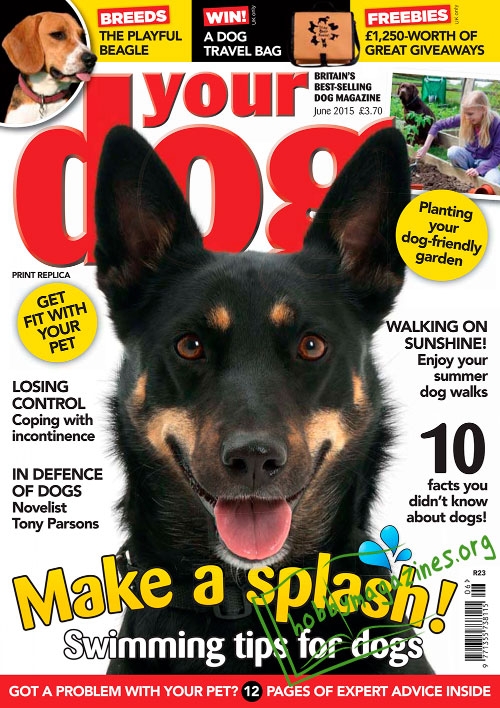 Your Dog - June 2015