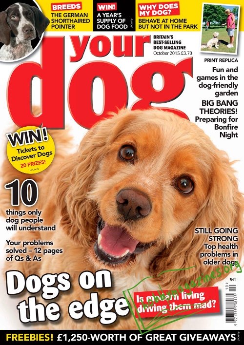Your Dog - October 2015