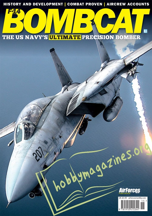 AirForces Monthly Special : F-14 Bombcat