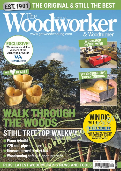 The Woodworker and Woodturner – February 2017