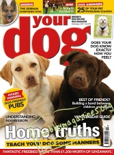 Your Dog - February 2017