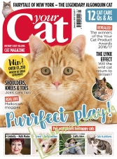 Your Cat - January 2017