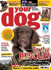 Your Dog - January 2018