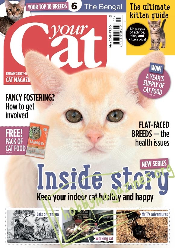 Your Cat - May 2018