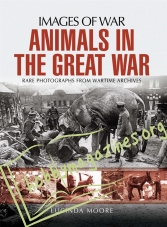 Images of War: Animals in the Great War
