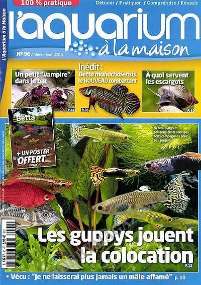 L'Aquarium à La Maison N°96 - Mars/Avril 2013