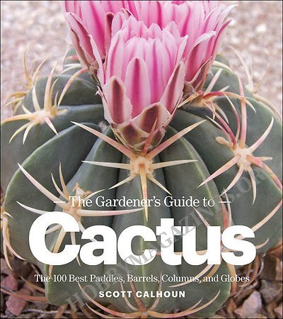 The Gardener's Guide to Cactus: The 100 Best Paddles, Barrels, Columns, and Globes (ePub)