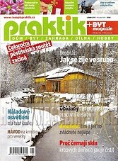 Praktik 2013-01