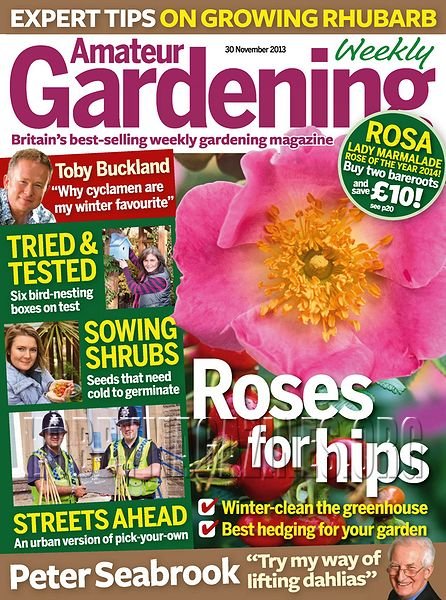 Amateur Gardening - 30 November 2013