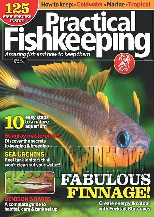 Practical Fishkeeping - October 2014