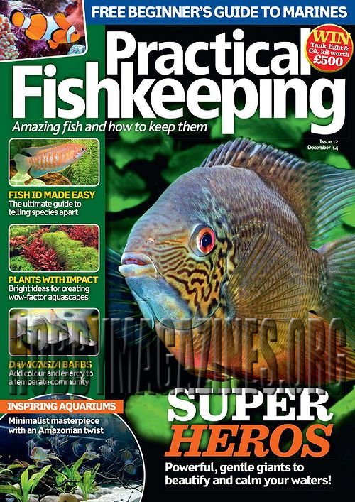 Practical Fishkeeping - December 2014