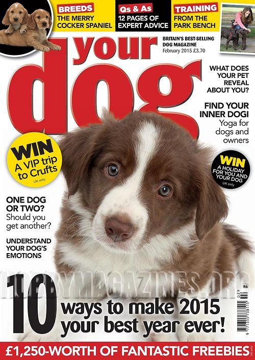 Your Dog - February 2015