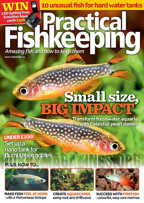 Practical Fishkeeping – November 2014