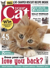 Your Cat – February 2015