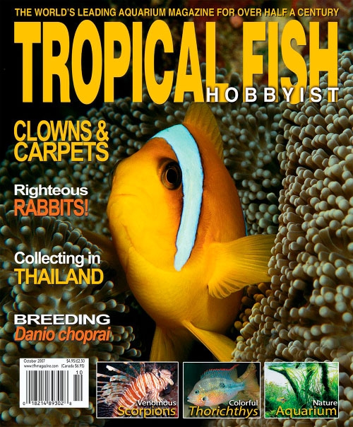 Tropical Fish Hobbyist - October 2007