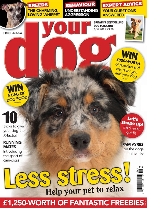 Your Dog - April 2015