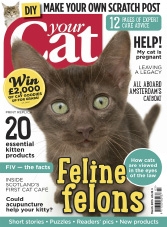 Your Cat - March 2015