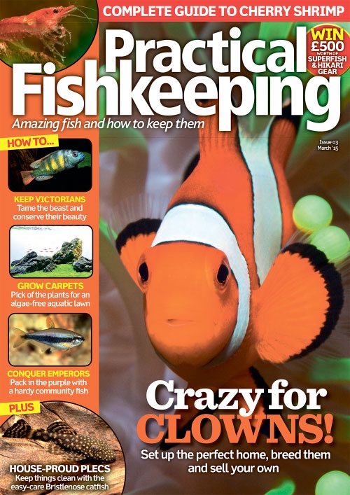 Practical Fishkeeping – March 2015