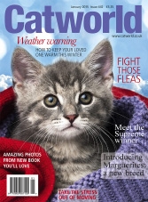 Catworld - January 2015