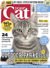 Your Cat - April 2015