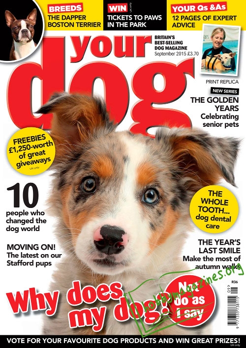 Your Dog - September 2015