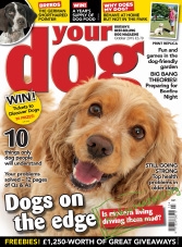 Your Dog - October 2015