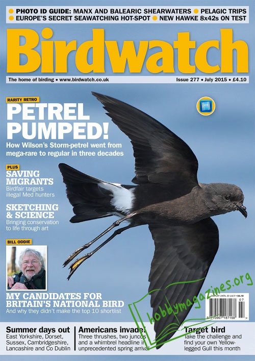 Birdwatch - July 2015