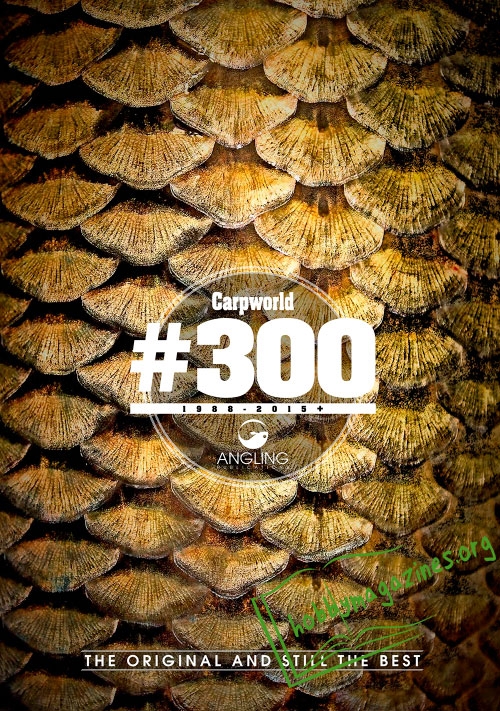 Carpworld – September 2015