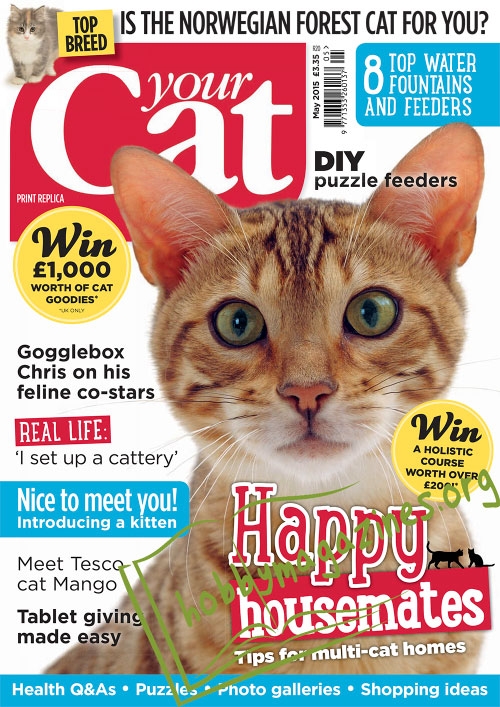 Your Cat - May 2015