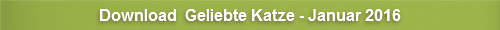 Geliebte Katze - Januar 2016
