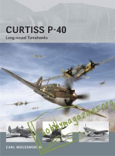 Air Vanguard : Curtiss P-40: Long-nosed Tomahawks