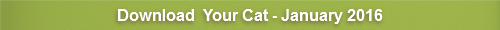 Your Cat - January 2016