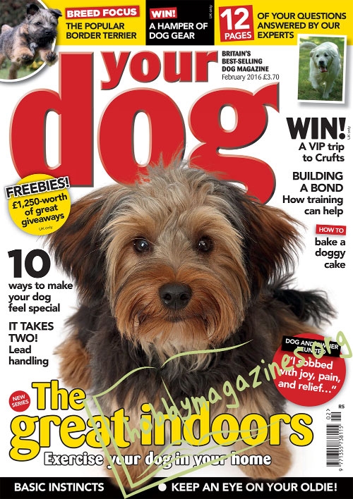 Your Dog – February 2016