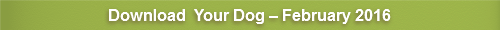 Your Dog – February 2016