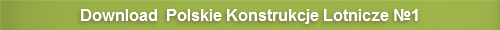 Polskie Konstrukcje Lotnicze №1 : Samoloty Mysliwskie PZL P.11, PZL P.24