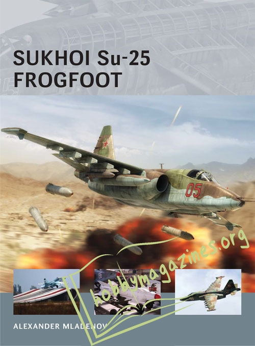 Air Vanguard : Sukhoi Su-25 Frogfoot