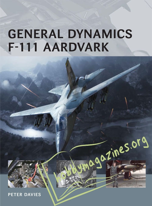 Air Vanguard : General Dynamics F-111 Aardvark