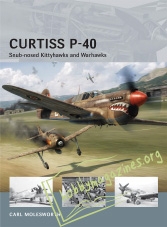 Air Vanguard : Curtiss P-40
