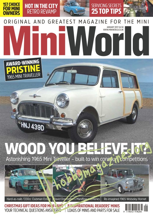 Mini World – January 2017