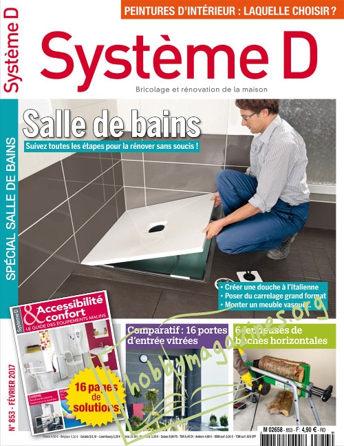 Systeme D - Fevrier 2017