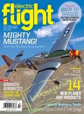 Electric Flight - July 2017