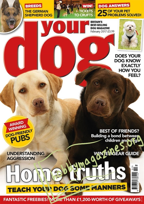 Your Dog - February 2017