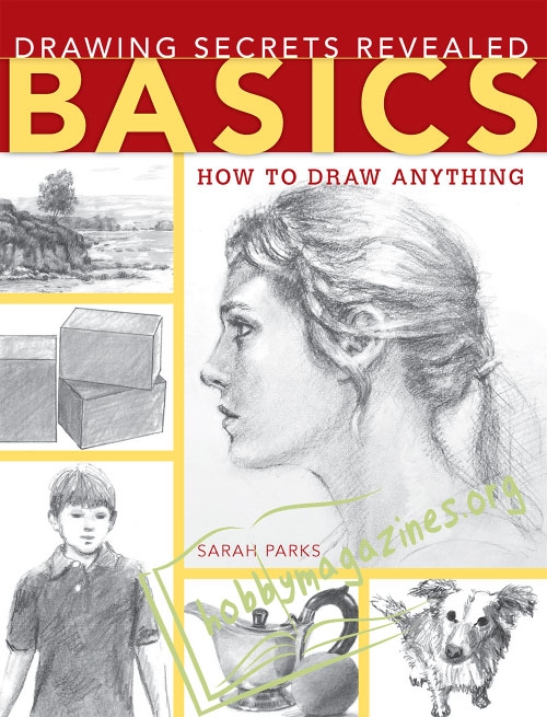 Basics. How to Draw Anything