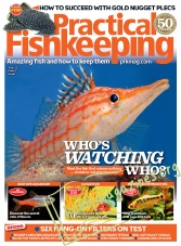 Practical Fishkeeping – June 2017