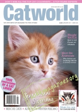 Cat World – January 2017