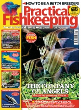 Practical Fishkeeping – July 2017