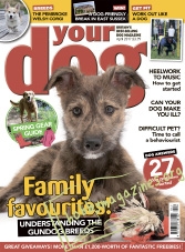 Your Dog - April 2017