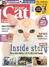 Your Cat - May 2018